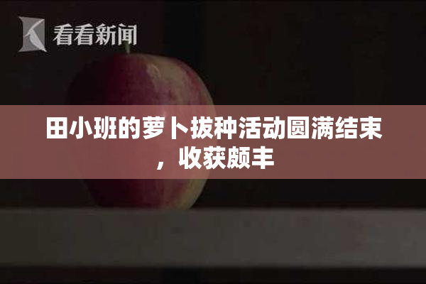 田小班的萝卜拔种活动圆满结束，收获颇丰
