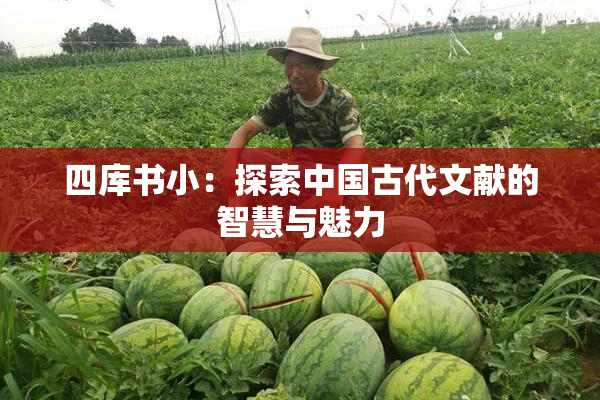 四库书小：探索中国古代文献的智慧与魅力