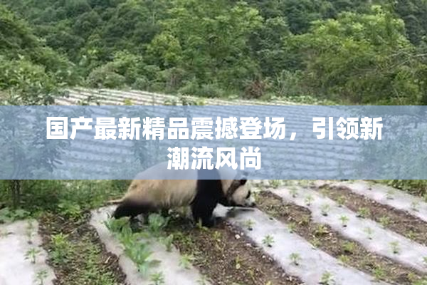 国产最新精品震撼登场，引领新潮流风尚