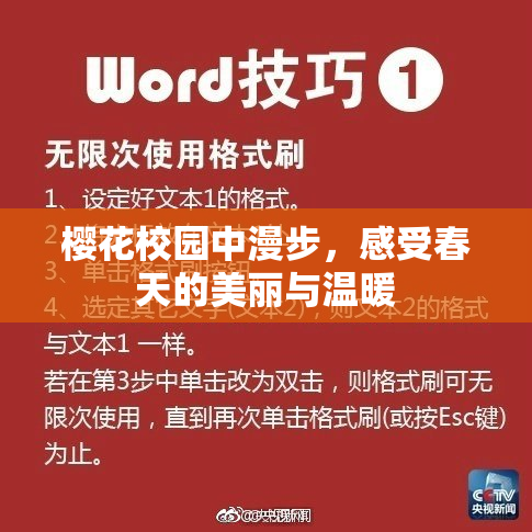 樱花校园中漫步，感受春天的美丽与温暖