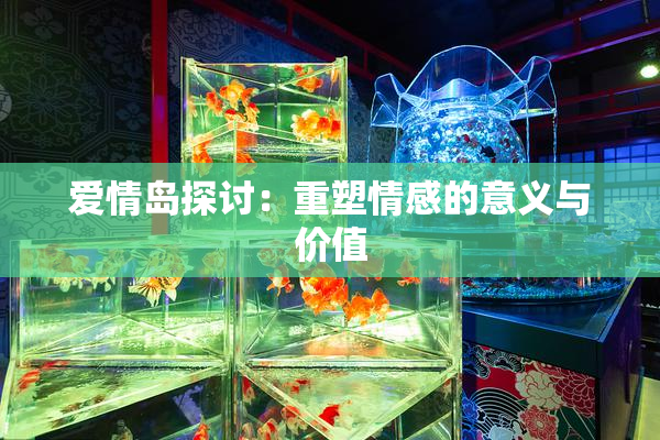 爱情岛探讨：重塑情感的意义与价值