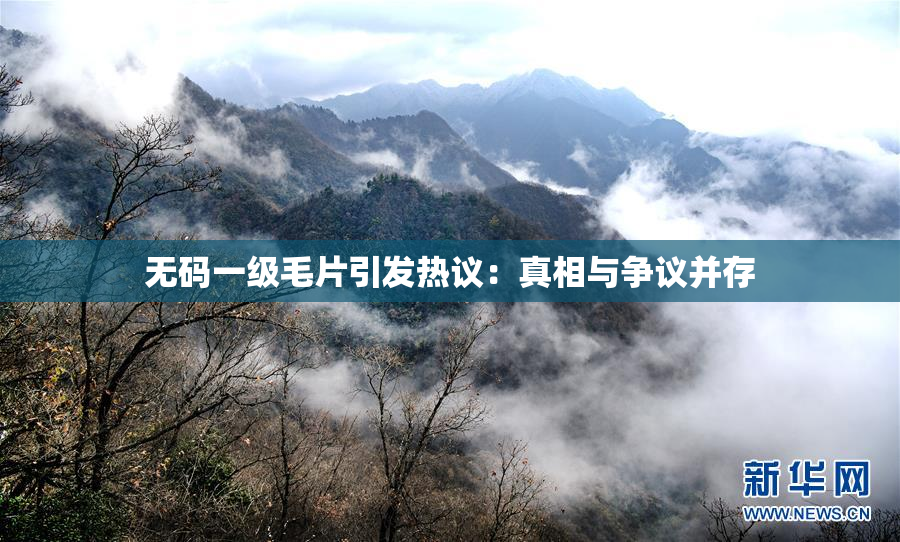 无码一级毛片引发热议：真相与争议并存