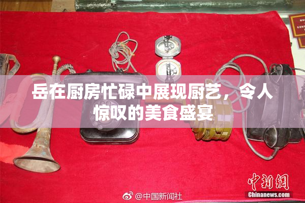 岳在厨房忙碌中展现厨艺，令人惊叹的美食盛宴