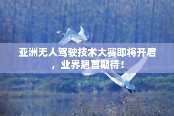 亚洲无人驾驶技术大赛即将开启，业界翘首期待！