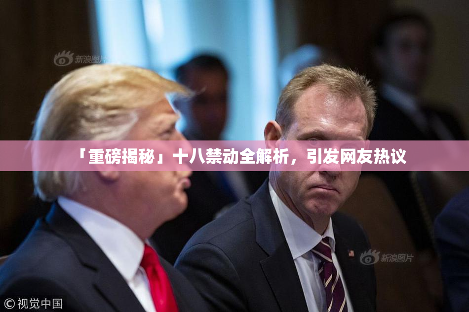 「重磅揭秘」十八禁动全解析，引发网友热议