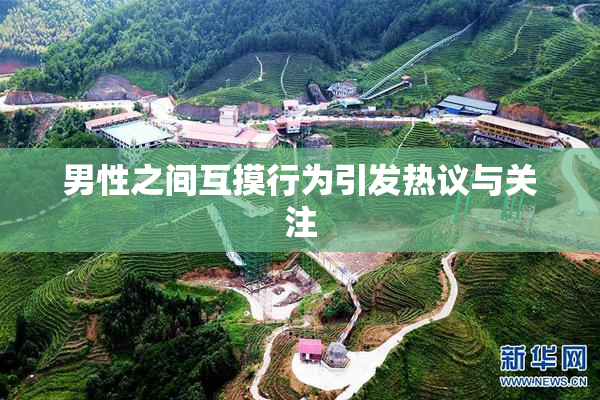 男性之间互摸行为引发热议与关注