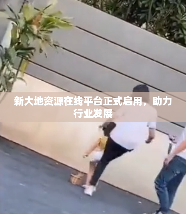 新大地资源在线平台正式启用，助力行业发展