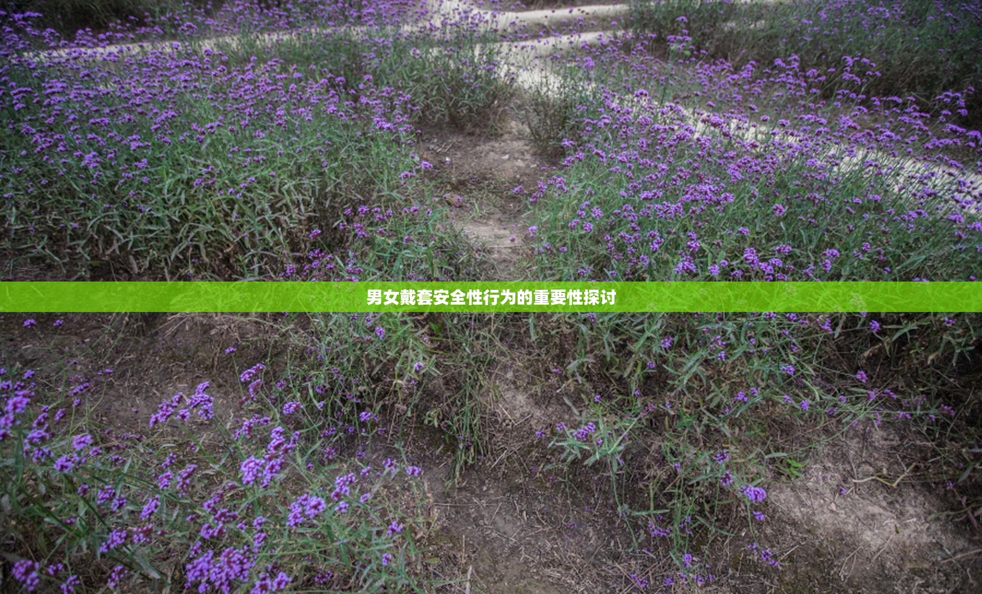 男女戴套安全性行为的重要性探讨