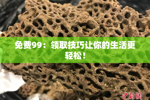 免费99：领取技巧让你的生活更轻松！
