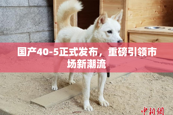 国产40-5正式发布，重磅引领市场新潮流