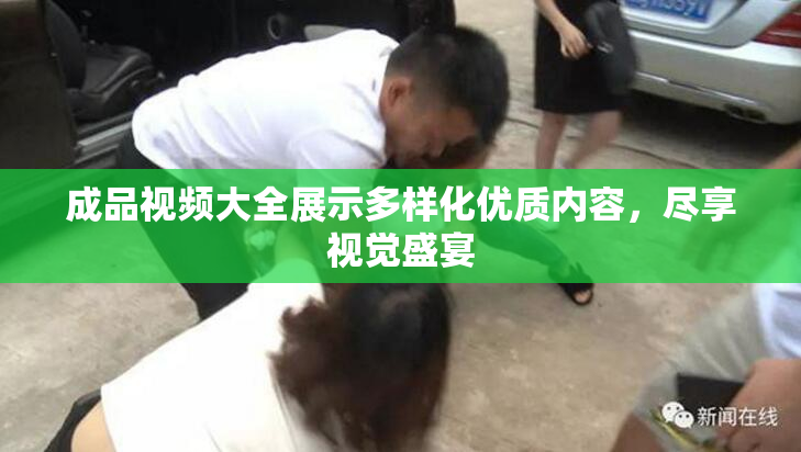 成品视频大全展示多样化优质内容，尽享视觉盛宴