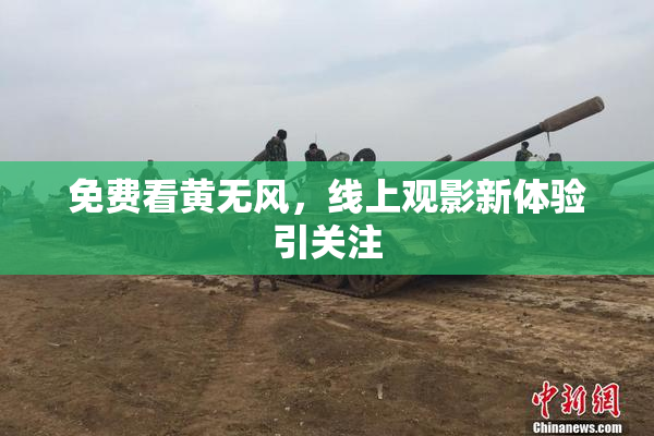 免费看黄无风，线上观影新体验引关注