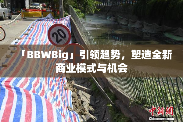 「BBWBig」引领趋势，塑造全新商业模式与机会
