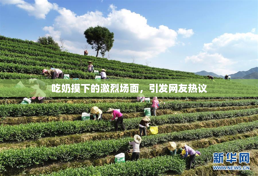 吃奶摸下的激烈场面，引发网友热议