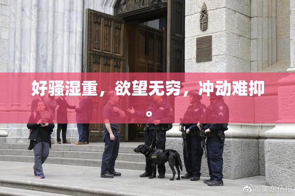 好骚湿重，欲望无穷，冲动难抑。