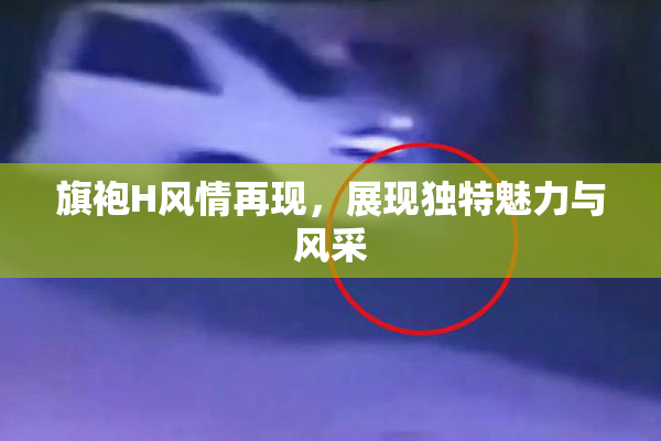 旗袍H风情再现，展现独特魅力与风采