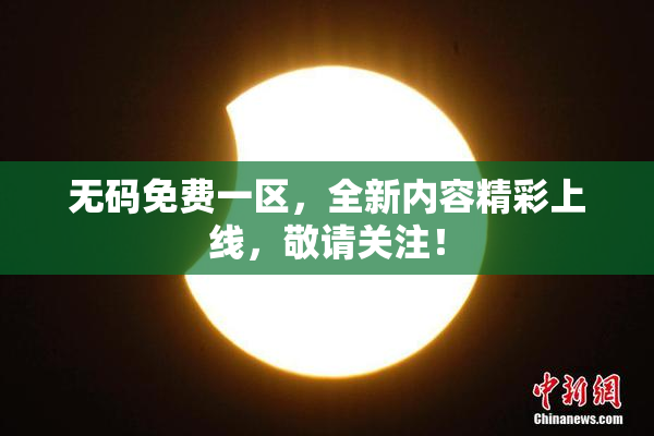 无码免费一区，全新内容精彩上线，敬请关注！