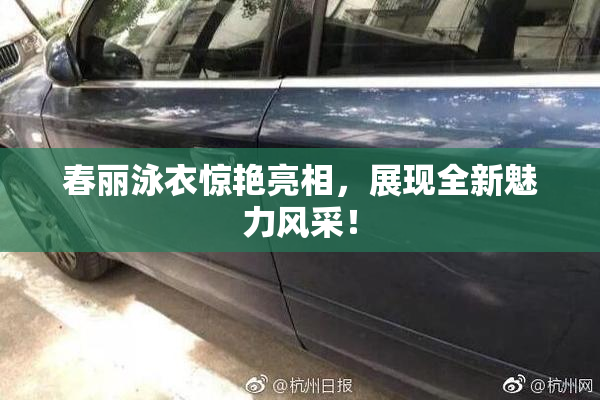 春丽泳衣惊艳亮相，展现全新魅力风采！