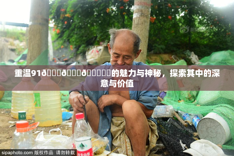 重温91🍆🍑🔞❌‌的魅力与神秘，探索其中的深意与价值