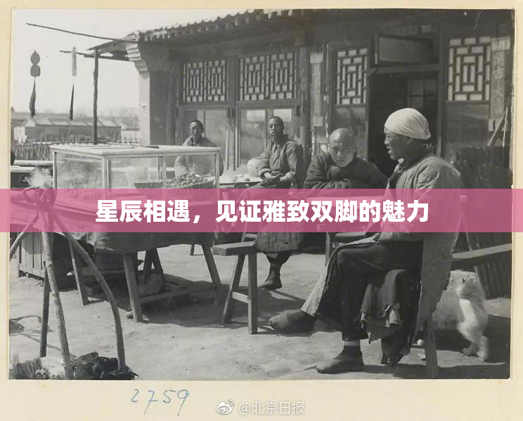 星辰相遇，见证雅致双脚的魅力