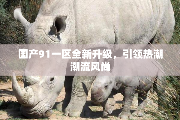 国产91一区全新升级，引领热潮潮流风尚