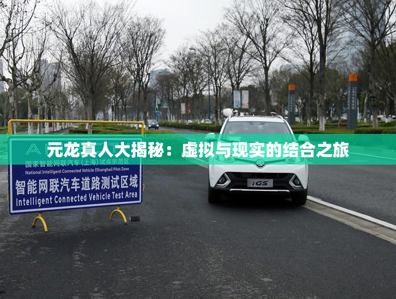 元龙真人大揭秘：虚拟与现实的结合之旅