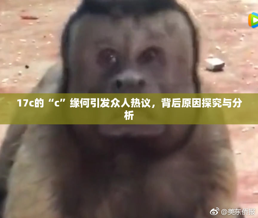 17c的“c”缘何引发众人热议，背后原因探究与分析