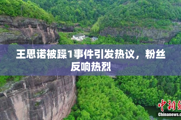 王思诺被躁1事件引发热议，粉丝反响热烈