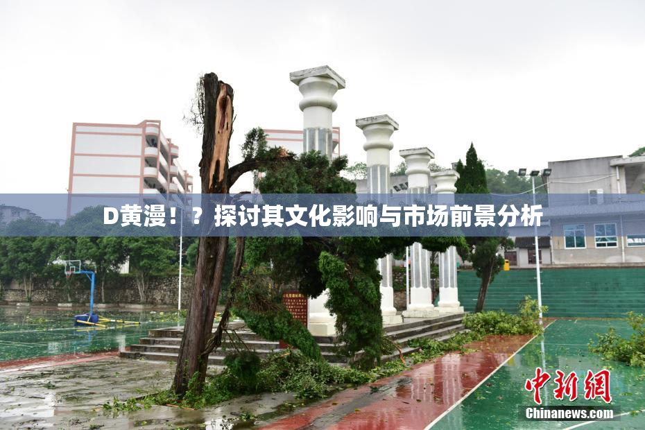D黄漫！？探讨其文化影响与市场前景分析