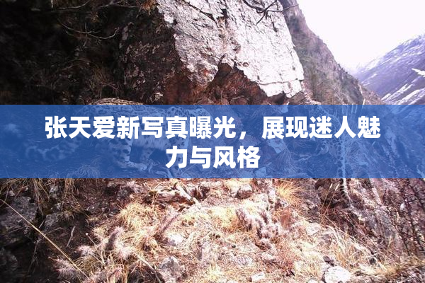 张天爱新写真曝光，展现迷人魅力与风格