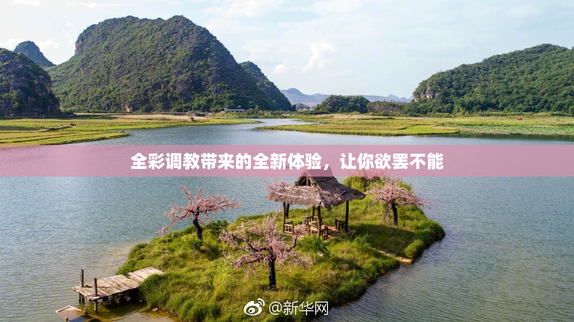 全彩调教带来的全新体验，让你欲罢不能