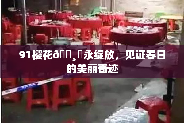 91樱花🌸‌永绽放，见证春日的美丽奇迹