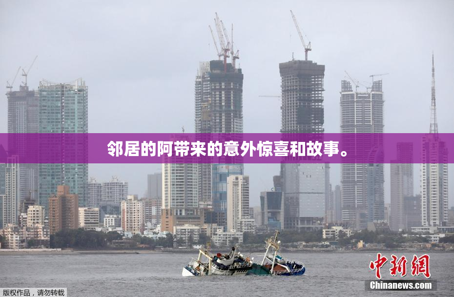 邻居的阿带来的意外惊喜和故事。
