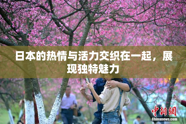 日本的热情与活力交织在一起，展现独特魅力