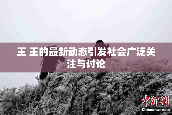 王 王的最新动态引发社会广泛关注与讨论