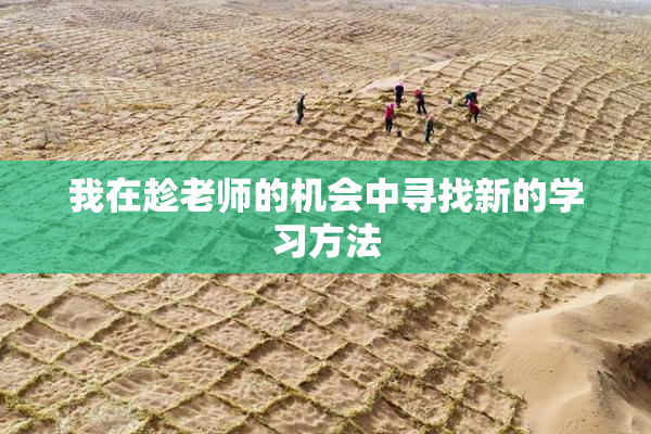 我在趁老师的机会中寻找新的学习方法