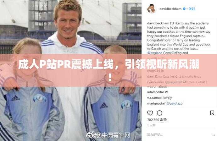 成人P站PR震撼上线，引领视听新风潮！