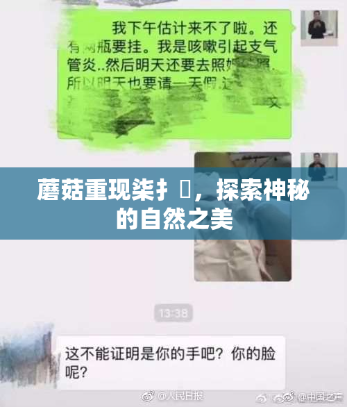 蘑菇重现柒扌畐，探索神秘的自然之美