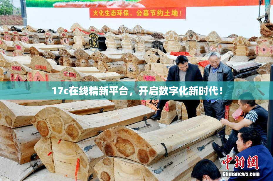 17c在线精新平台，开启数字化新时代！