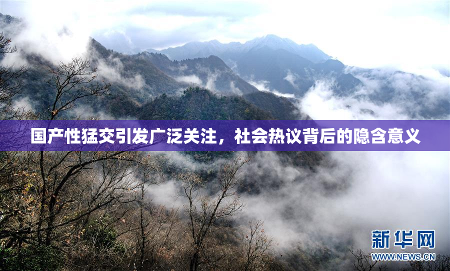 国产性猛交引发广泛关注，社会热议背后的隐含意义