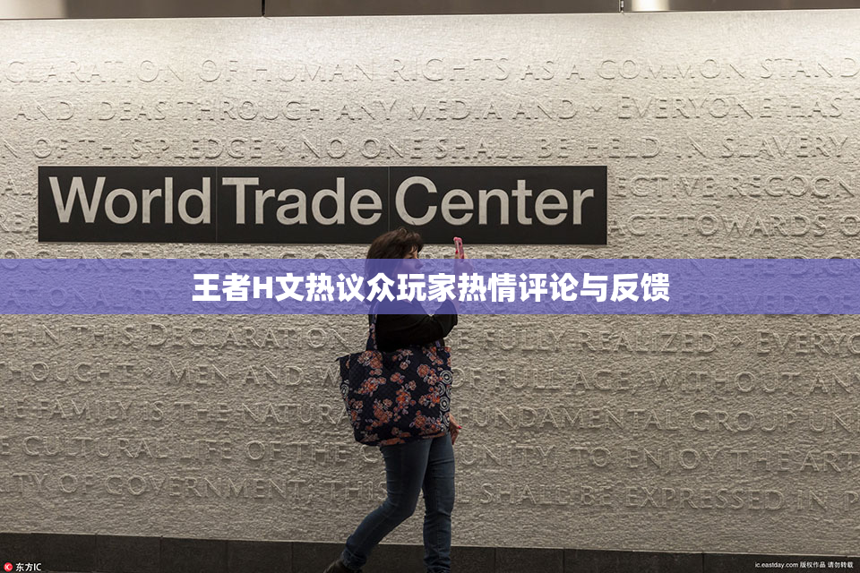 王者H文热议众玩家热情评论与反馈