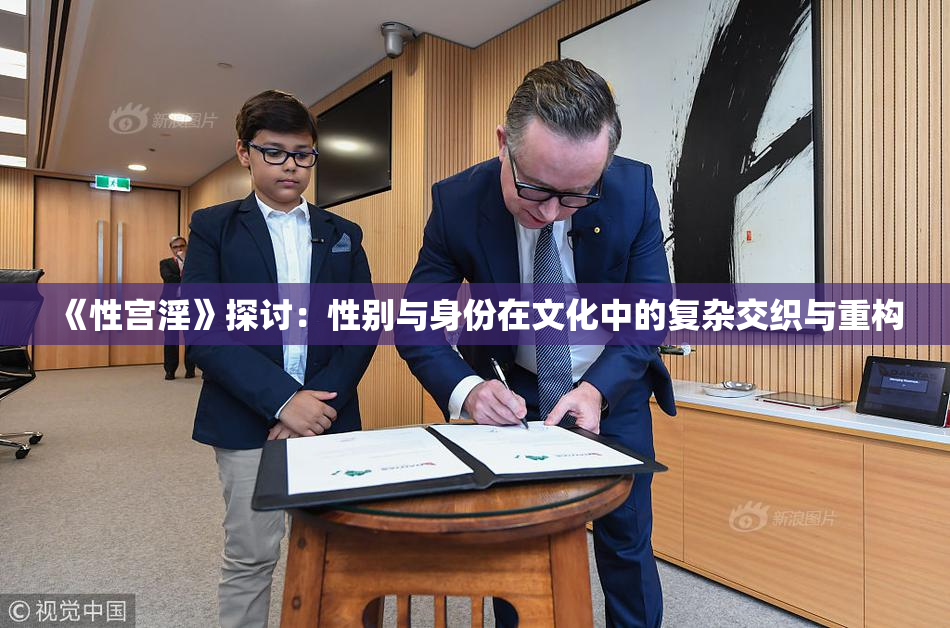 《性宫淫》探讨：性别与身份在文化中的复杂交织与重构