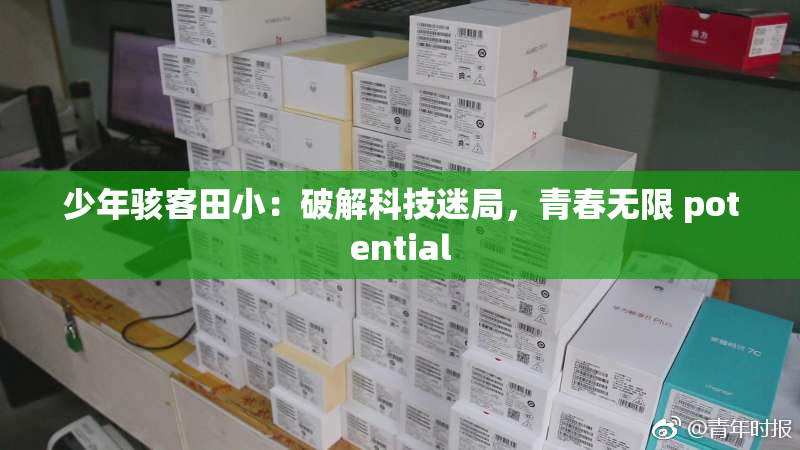少年骇客田小：破解科技迷局，青春无限 potential