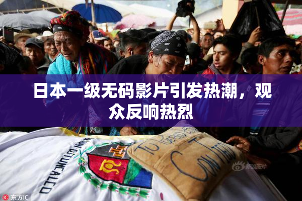 日本一级无码影片引发热潮，观众反响热烈