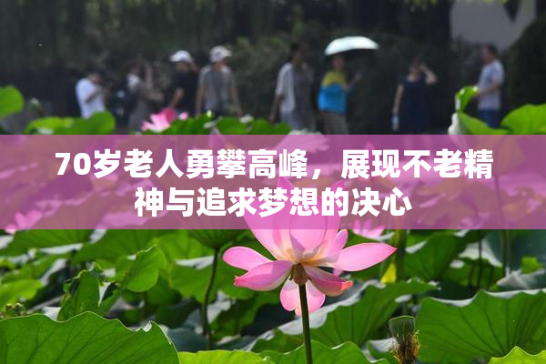 70岁老人勇攀高峰，展现不老精神与追求梦想的决心