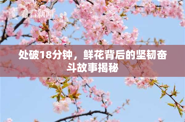 处破18分钟，鲜花背后的坚韧奋斗故事揭秘