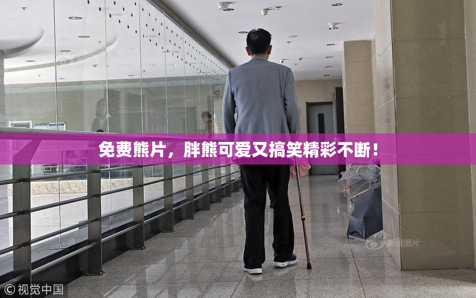 免费熊片，胖熊可爱又搞笑精彩不断！