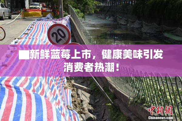 ▇新鲜蓝莓上市，健康美味引发消费者热潮！