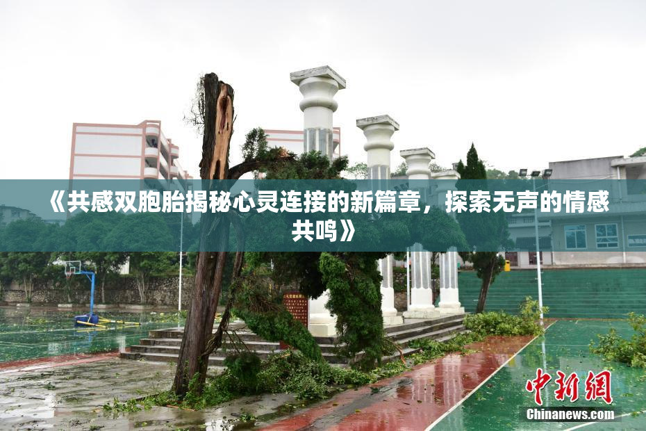 《共感双胞胎揭秘心灵连接的新篇章，探索无声的情感共鸣》