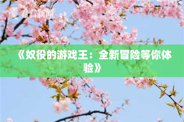 《奴役的游戏王：全新冒险等你体验》